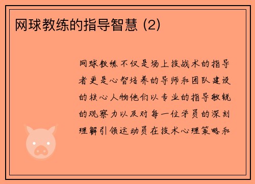 网球教练的指导智慧 (2)